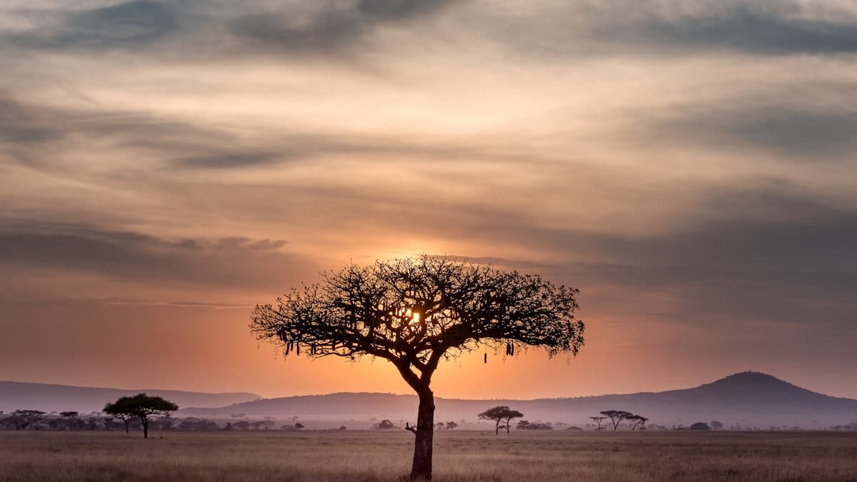Corporate environment in Ethiopia