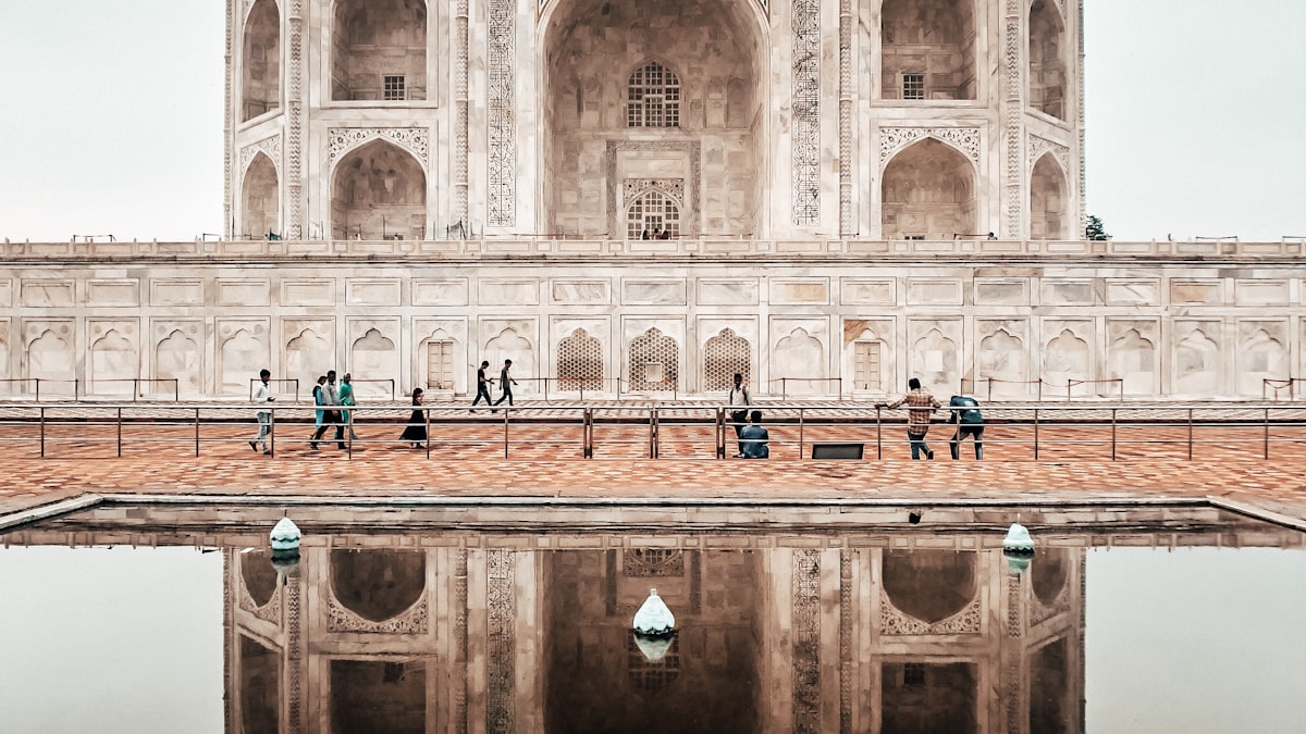 Article illustration